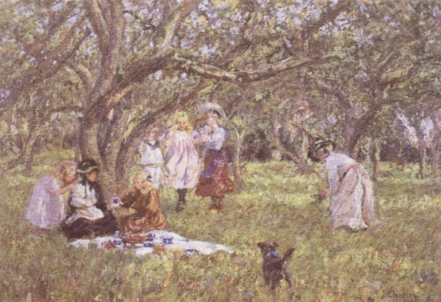 The Picnic